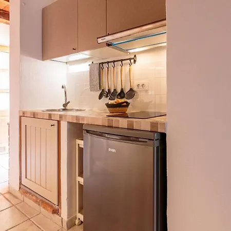 Nisha San Miguel de Abona