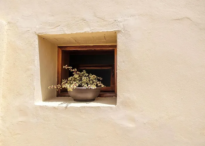 公寓 Nisha 圣米格尔德阿沃纳