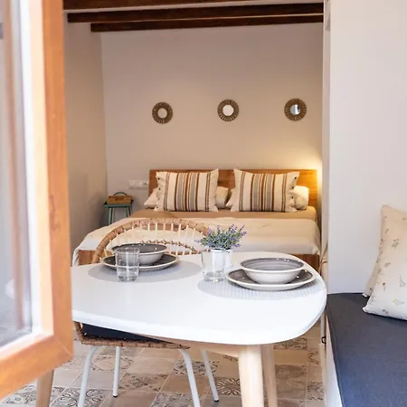 Nisha San Miguel de Abona